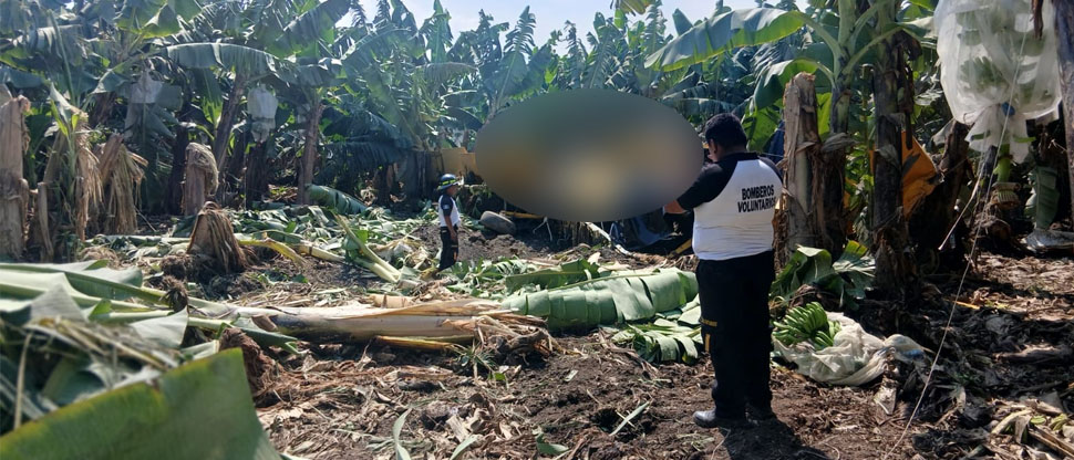 Avioneta se estrella en Escuintla, Guatemala, el piloto no sobrevivió