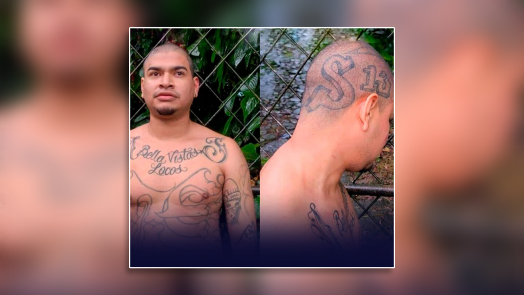 Condenan a alias Terror de los Bella Vista Locos Salvatruchos