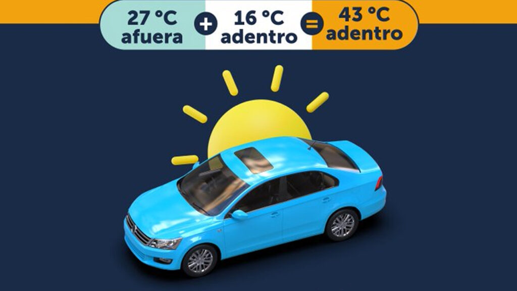 Recomiendan No dejar personas ni mascotas al interior de los vehículos ante altas temperaturas