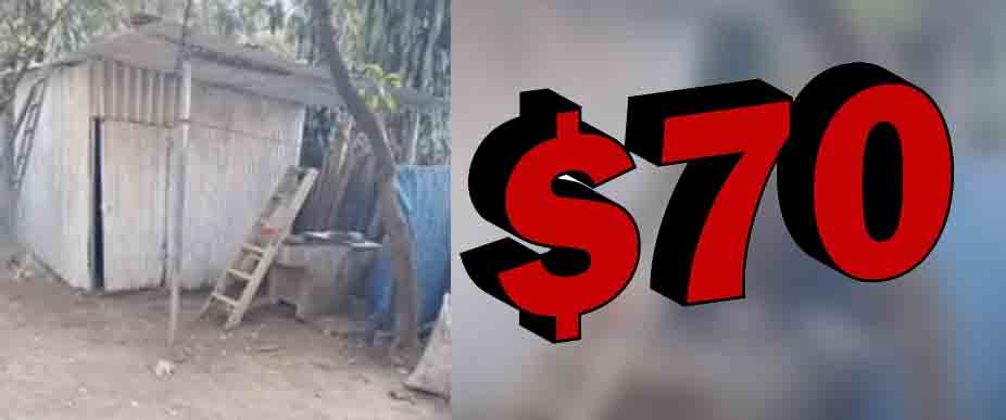 Qué ofertón: alquilan champa por $70