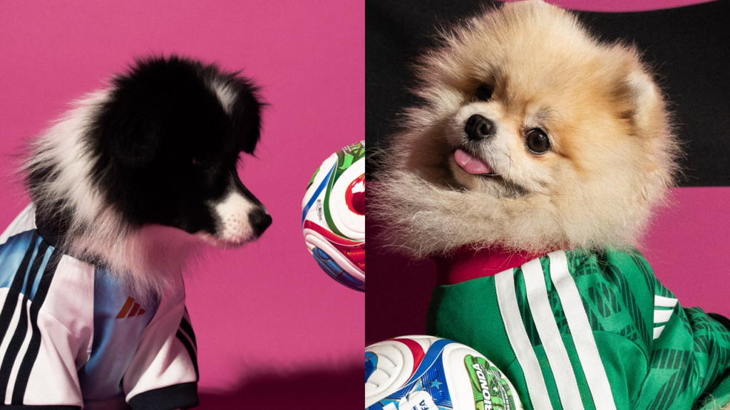 Lanzan línea de equipaciones de la copa mundial para mascotas