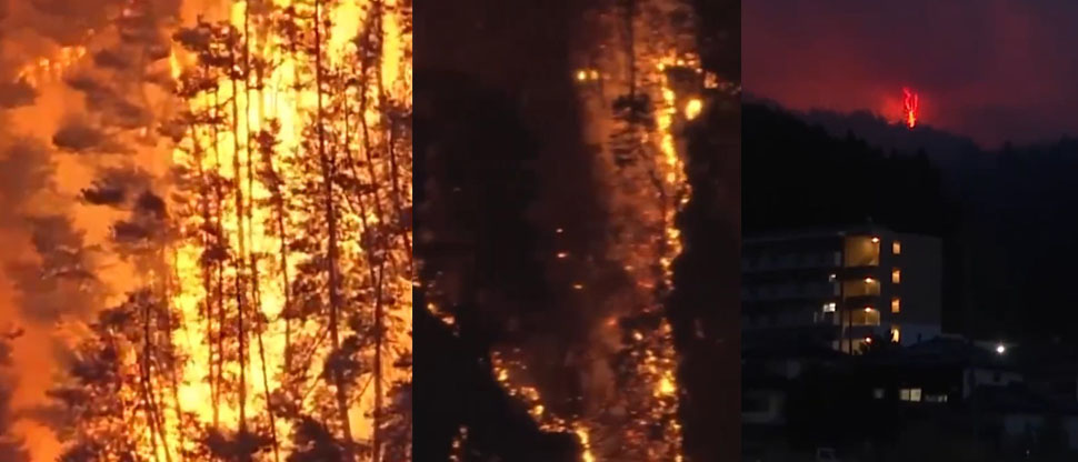 Japón: autoridades emiten orden de evacuación a más de 1,800 personas tras incendios forestales