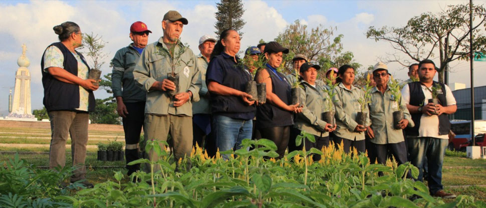 Entregarán 10,000 plantas gratis por el Día Internacional de la Madre Tierra