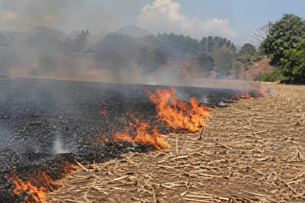Reiteran que las quemas agrícolas están prohibidas a nivel nacional