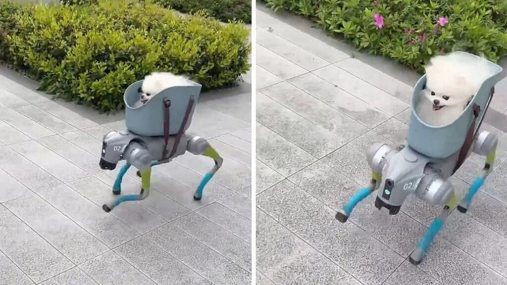 Robomascota cuadrúpeda lleva de paseo a su perrito y enternece las redes