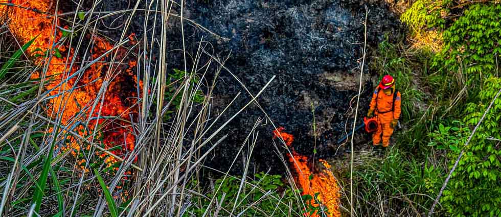 Haciendo uso de mochilas extintoras, CBES sofoca incendio en zona de difícil acceso en Chalatenango