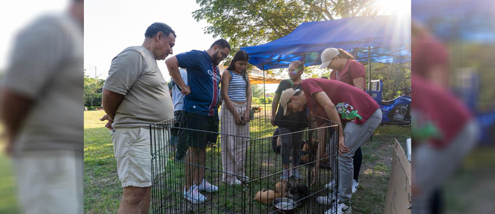 San Salvador: ¡jornada de adopción acaba con 6 perritos con nuevos hogares!
