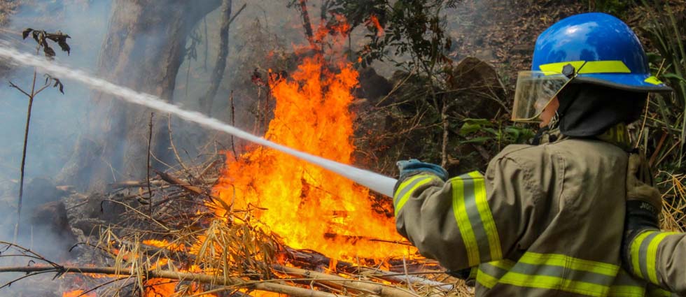 Sofocan voraz incendio en terreno con abundante maleza y bambú en Chalatenango