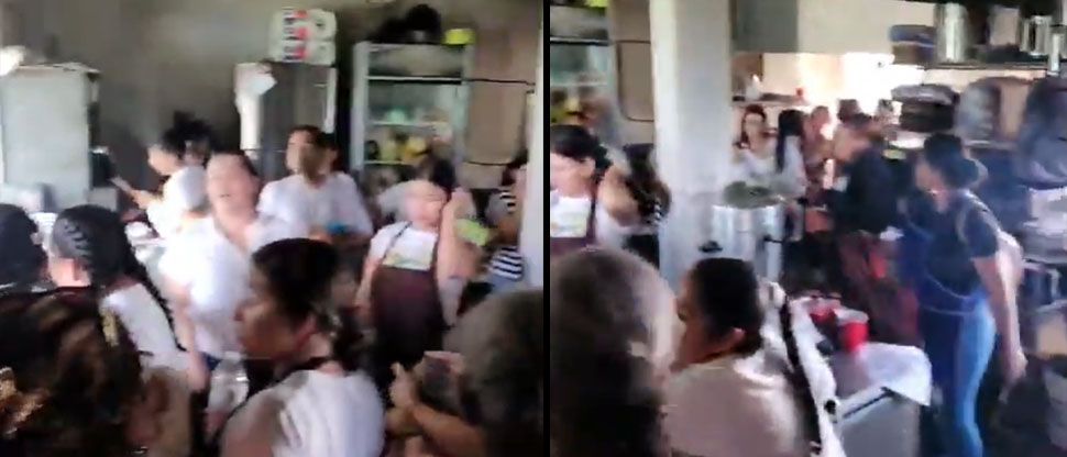 Captan momento cuando varias personas fueron atacadas por enjambre de abejas