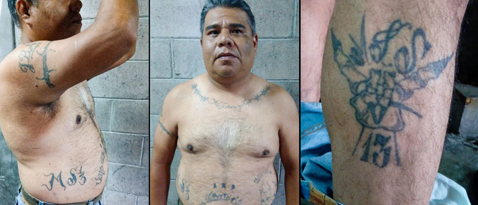 Capturan a pandillero veterano que aún se escondía del régimen de excepción