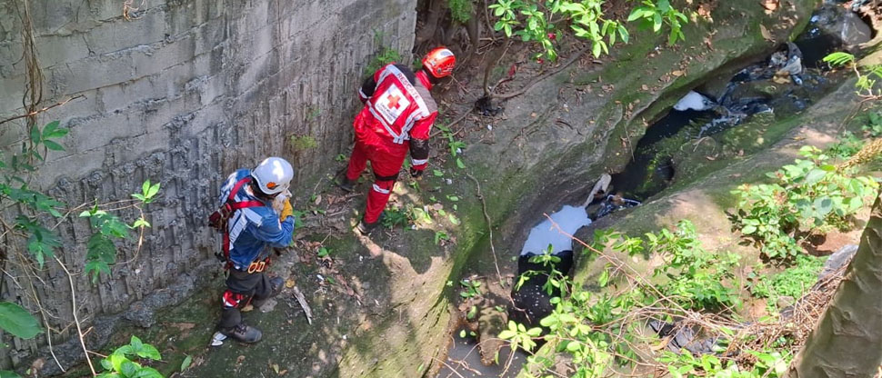Socorristas de Cruz Roja rescatan a gatito atrapado en un barranco de 6 metros de profundidad