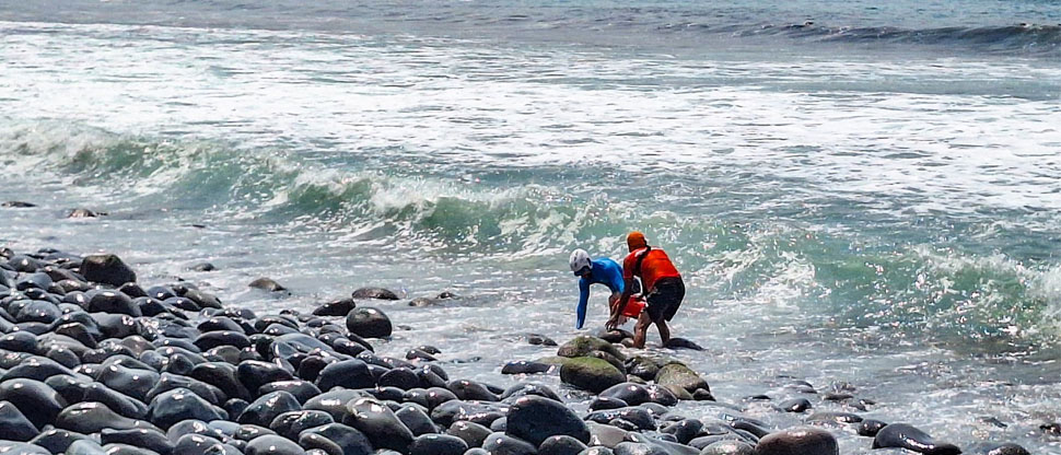 Surfista sobrevive a fuerte caída gracias al auxilio de guardavidas de Protección Civil