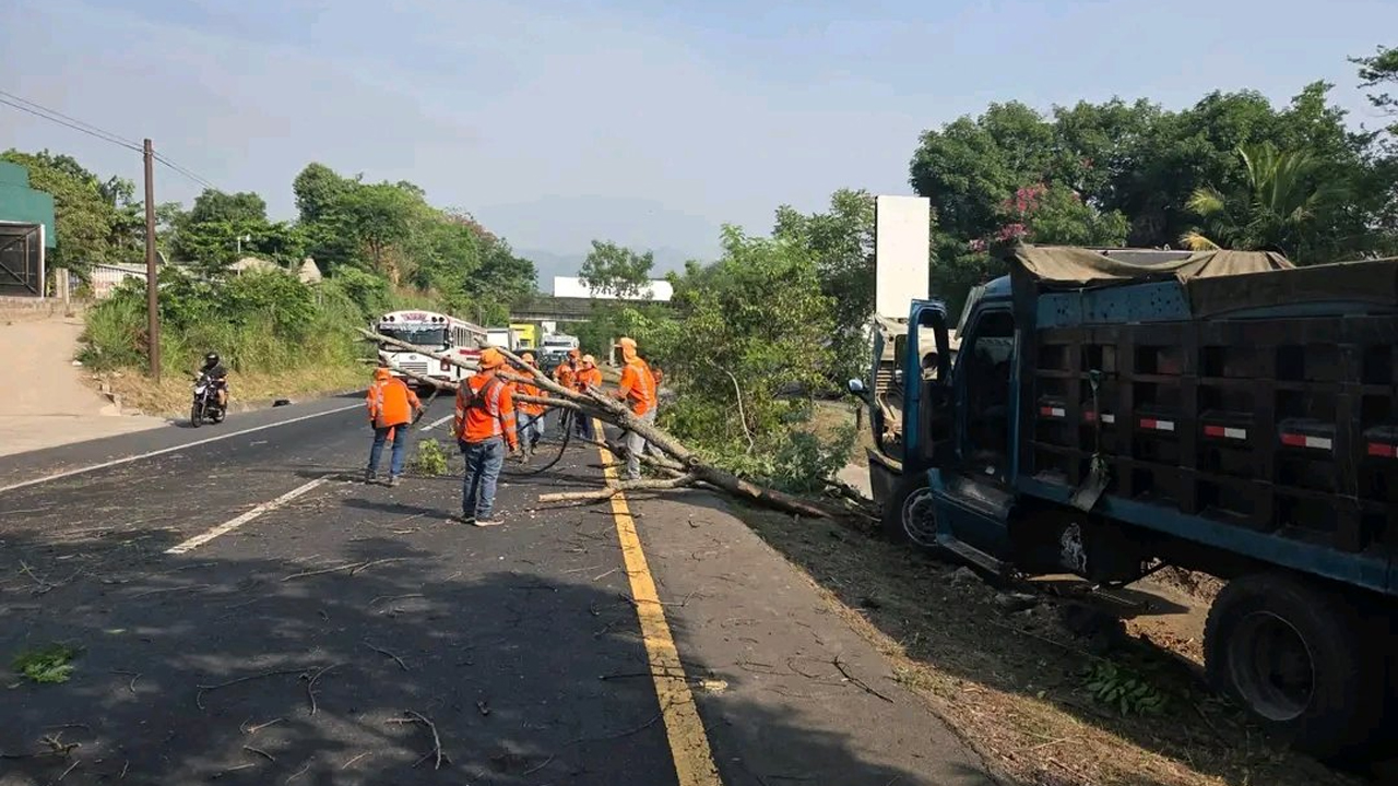 Remueven árbol que obstruía el paso vehicular en la carretera de Oro en Apopa