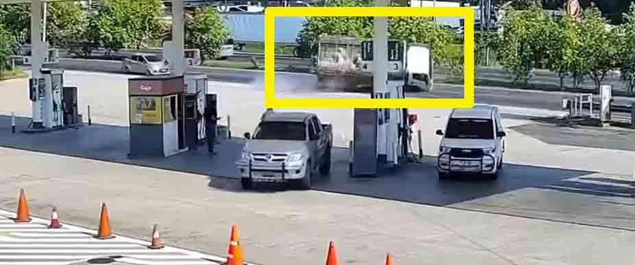 Captan el momento en un camión lleno de cerdos vuelca en Cojutepeque
