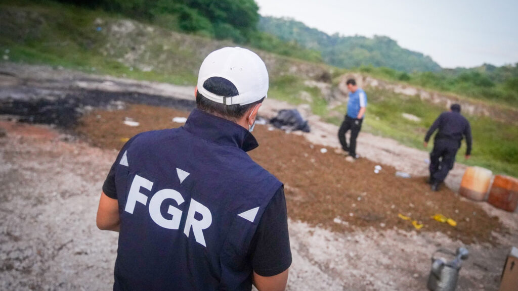 Destruyen distintos tipos de droga valorada en más de 80 mil dólares