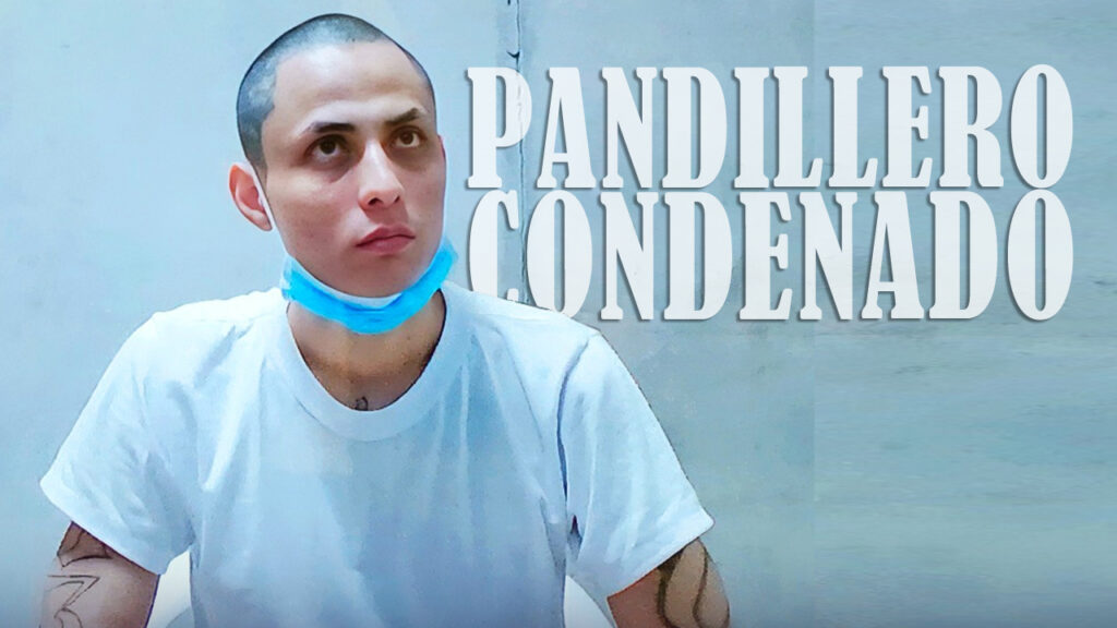 Eligió el camino de las pandillas y ahora pasará décadas en la cárcel