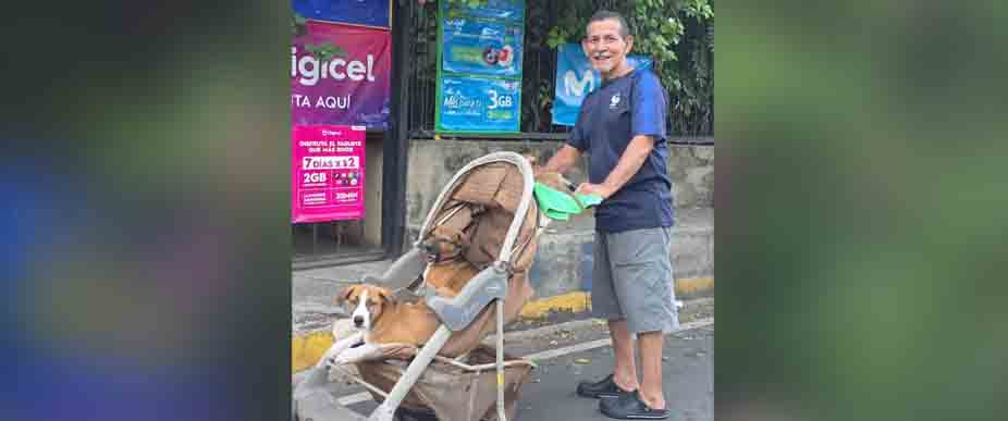 Viralizan a hombre que pasea a sus perritos en cochecito de bebé