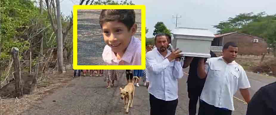 Perrito demuestra lealtad al niño de 6 años que lo cuidó en La Unión