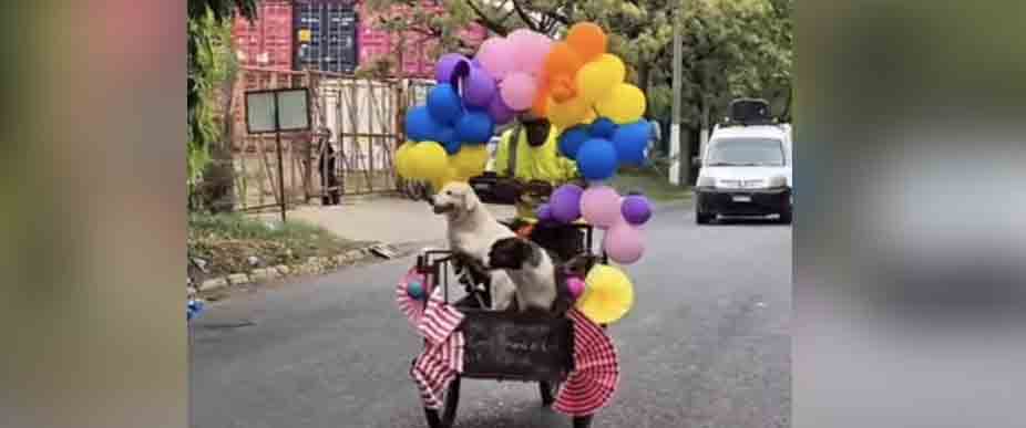 Viralizan tricicleta en desfile de correo de Acajutla por ir decorada con perritos