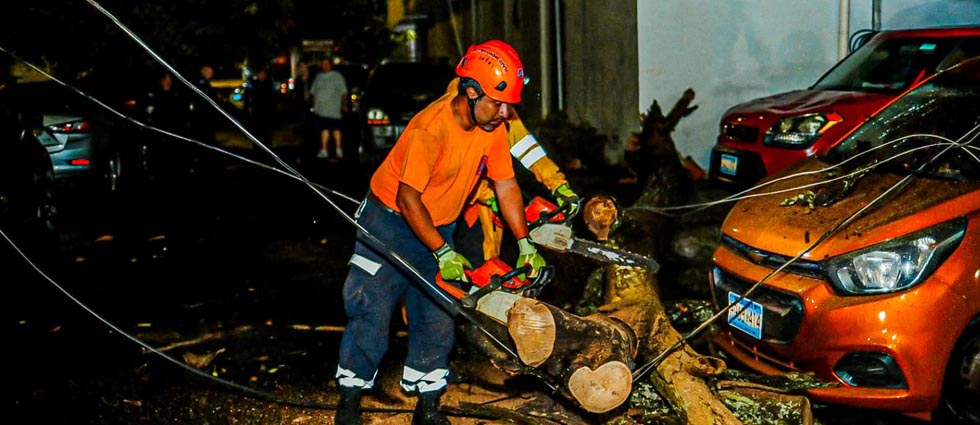 Remueven árbol que cayó sobre tres vehículos en la calle Gabriela Mistral, San Salvador