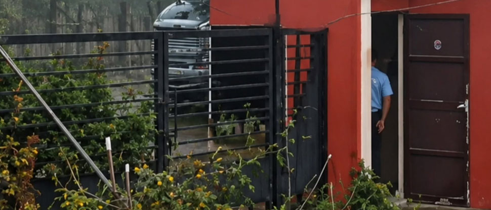 Momento cuando árbol cae sobre el portón de una residencial en Ahuachapán