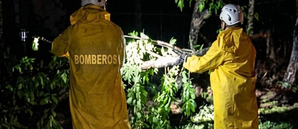 Bomberos remueven rama que obstruía un carril sobre la carretera Longitudinal del Norte
