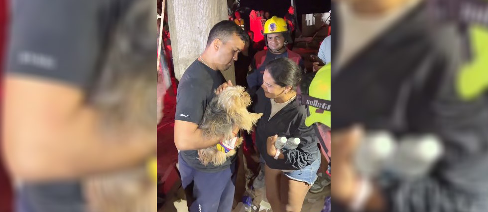 USAR El Salvador también salva a ‘Chanel’, mascota de la niña de 15 que rescataron de los escombros en La Guaira