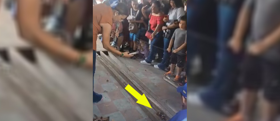 ¡Viralizan singular carrera de cangrejos en San Vicente!