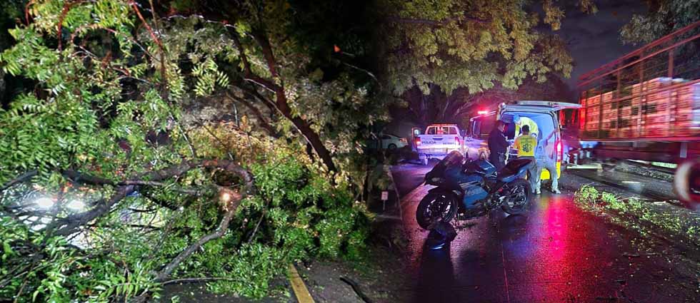 Motociclistas se accidentan contra una rama que cayó sobre l