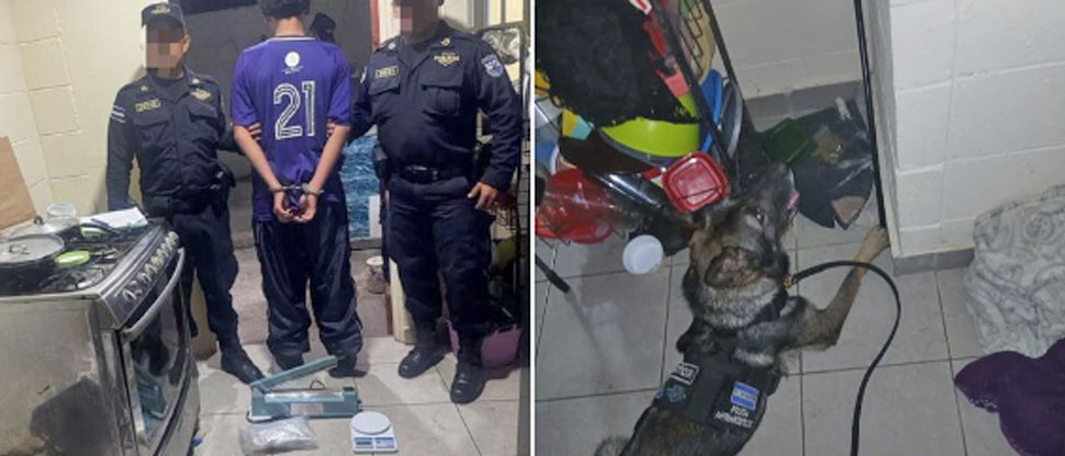 Capturan a joven que, desde su vivienda, se dedicaba a la distribución de sustancias ilícitas
