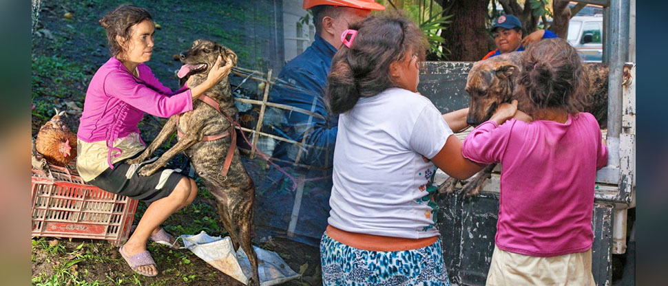 Ni la lluvia la separó de sus mascotas y fueron trasladados de forma segura a un albergue
