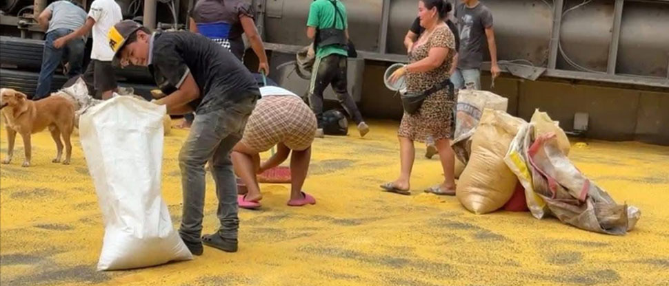 Camión que transportaba concentrado vuelca y personas aprovechan en llevarse el producto