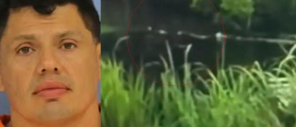 Hombre ebrio huye de la Policía y termina atacado por caimán en Luisiana, EE.UU.