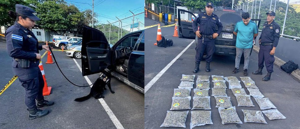 Capturan a hombre que transportaba sustancias ilícitas en el sector de frontera Las Chinamas