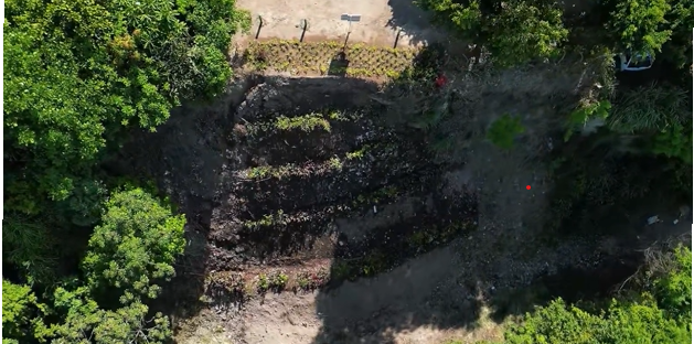 Alcaldía de San Salvador convierte botadero en un creciente bosque