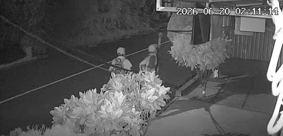 Con las manos en la masa: captan a ladrones de cable haciendo de las suyas en Lourdes