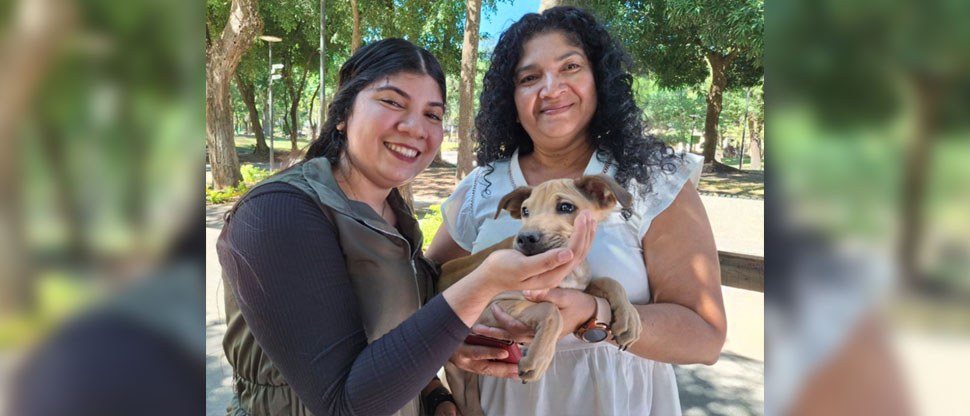 Adopta una mascota y recibe estos beneficios