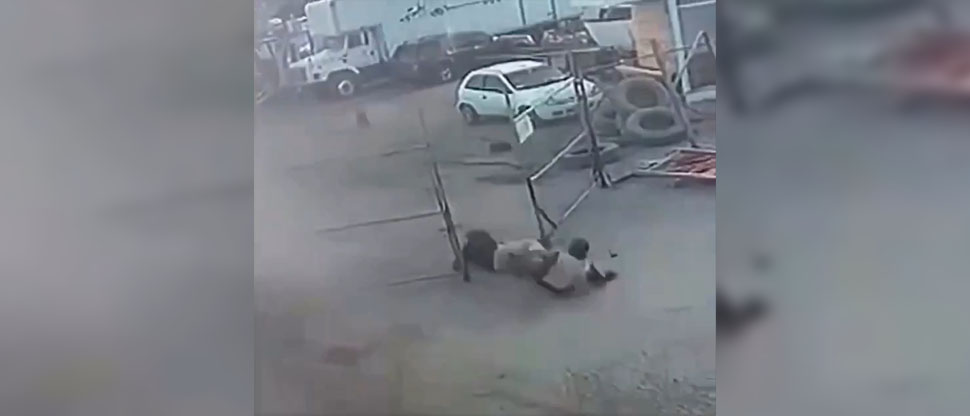 Hombre salva a su amigo de morir electrocutado cuando hizo contacto con un portón