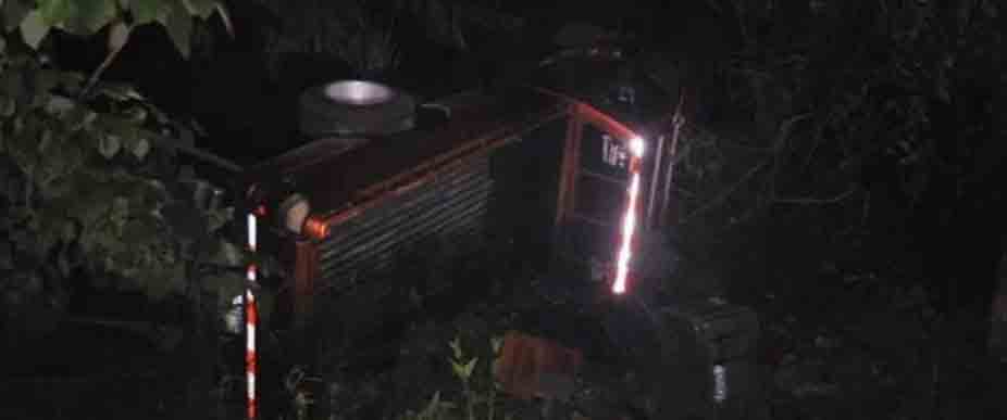 Conductor cae en barranco tras impactar contra manada de vacas