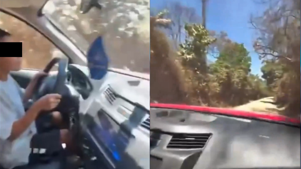 Video de menor manejando un vehículo todo terreno genera controversia en las redes