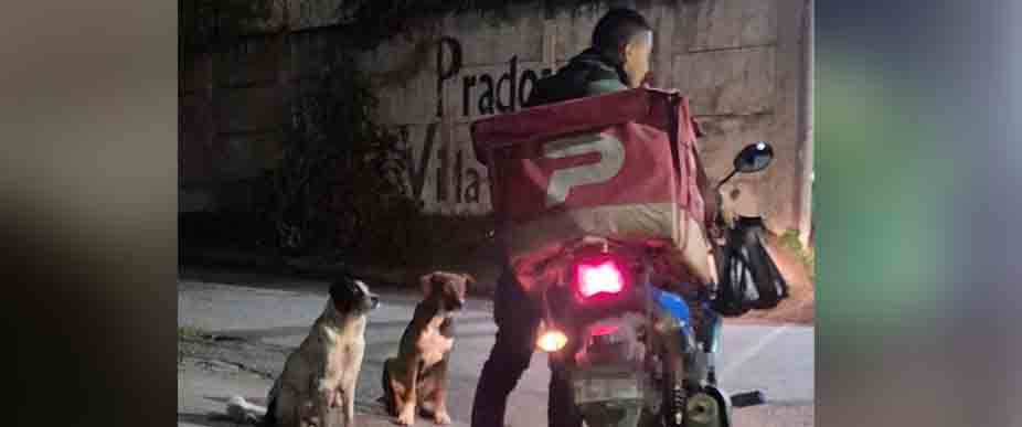 Delivery comparte su comida con perritos que viven en la calle