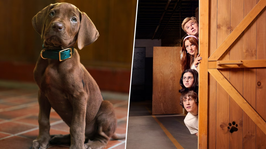 Netflix revela primer adelanto de la serie live-action de Scooby-Doo