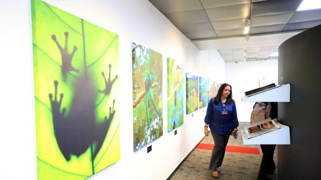 Inauguran exposición El Salvador Gate 503 en Aeropuerto Internacional San Óscar Arnulfo Romero