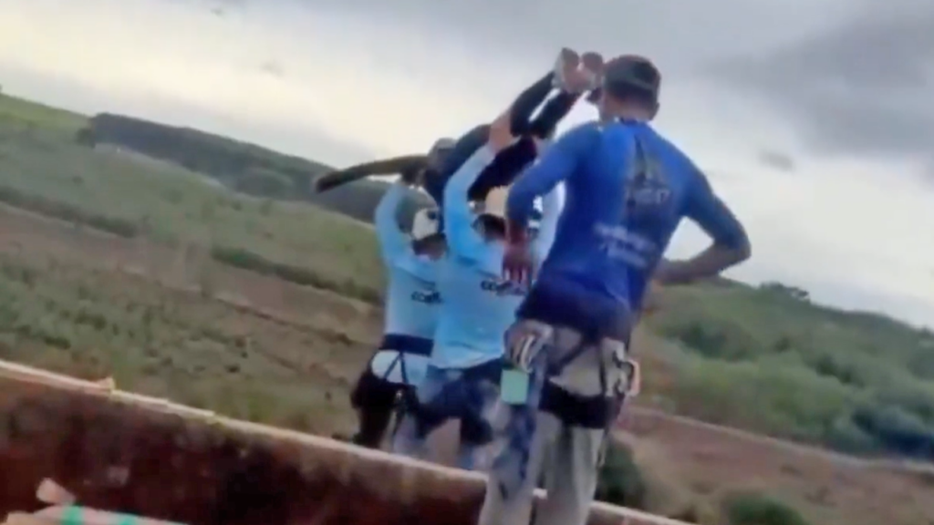 Joven mujer muere tras lanzarse de un Jumping en Brasil: olvidaron ponerle  las cuerdas de seguridad