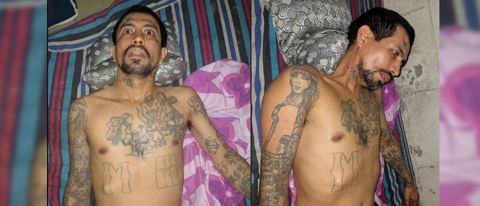 Capturan a peligroso pandillero que estaba oculto en una vivienda de San Martín
