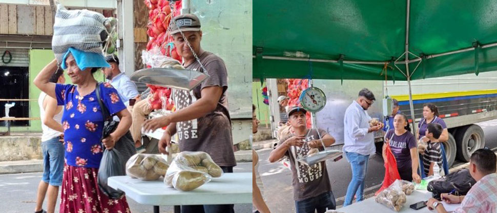 Instalan punto de venta de papa a precio fijo en Sonsonate y advierten a comerciantes