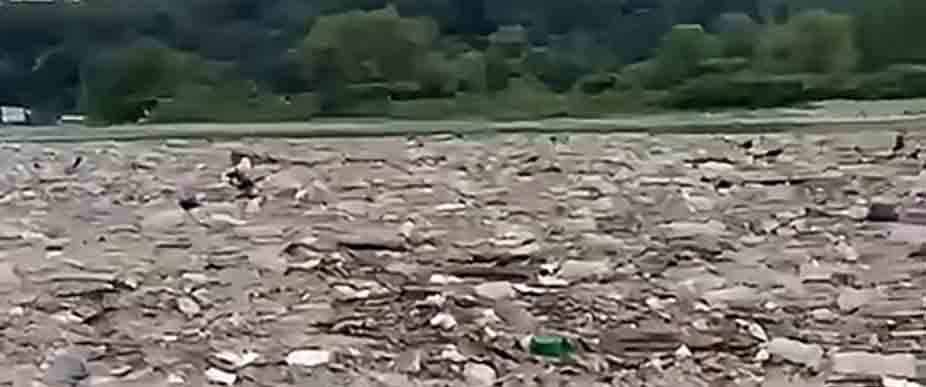 Por tirar la basura en las calles: viralizan contaminación del lago de Ilopango tras las fuertes lluvias