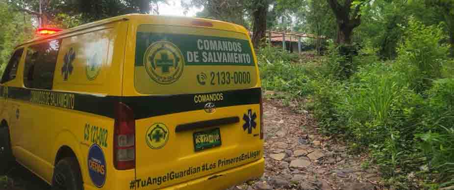 Persona resulta lesionada tras caer de un árbol de mango en La Paz