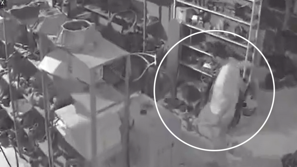Cámaras de seguridad captan a ladrón que ingresa a un taller mecánico en San Miguel