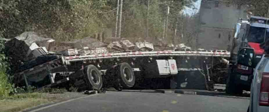 EEUU: conductor vuelca y escapan millones de abejas que provocan cierre de carretera